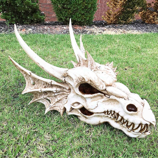 Elder Dragon Skull Fossil Statue
